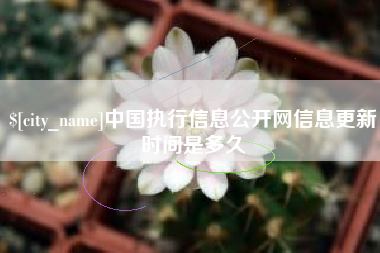 贵港中国执行信息公开网信息更新时间是多久