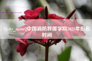 贵港中国消防救援学院2021年报名时间