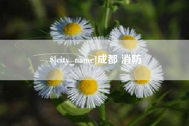 贵港成都 消防