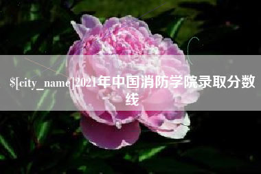 贵港2021年中国消防学院录取分数线