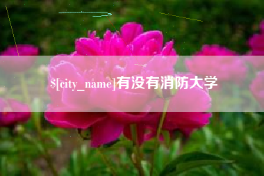 贵港有没有消防大学