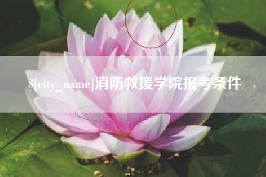 贵港消防救援学院报考条件