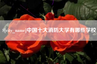 贵港中国十大消防大学有哪些学校