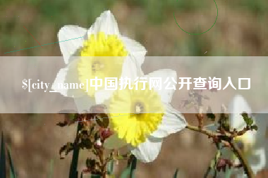 贵港中国执行网公开查询入口
