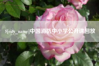 贵港中国消防中小学公开课回放