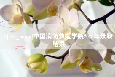 贵港中国消防救援学院2020年录取结果