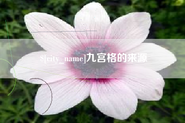 贵港九宫格的来源