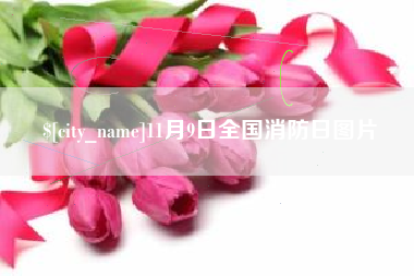 贵港11月9日全国消防日图片