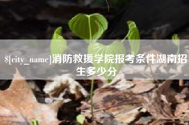 贵港消防救援学院报考条件湖南招生多少分