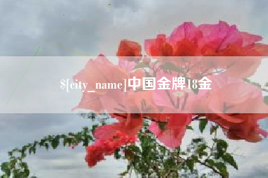 贵港中国金牌18金