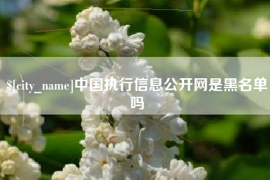 贵港中国执行信息公开网是黑名单吗