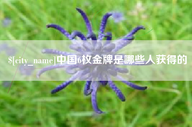 贵港中国6枚金牌是哪些人获得的