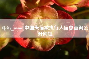贵港中国失信被执行人信息查询公开网址