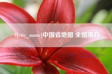贵港中国省地图 全图黑白