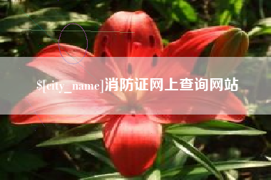贵港消防证网上查询网站