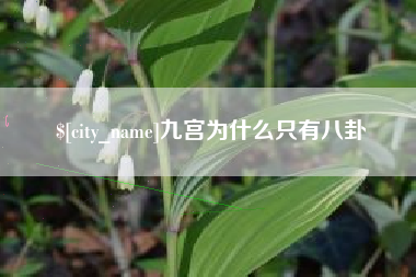 贵港九宫为什么只有八卦