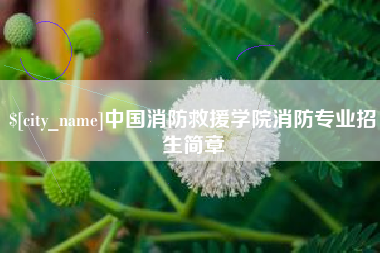贵港中国消防救援学院消防专业招生简章