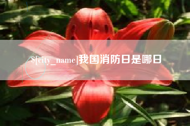贵港我国消防日是哪日