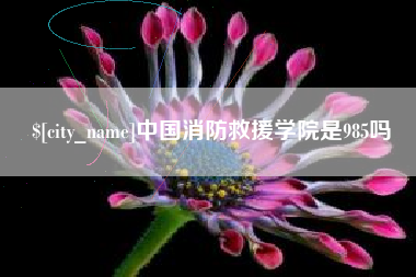 贵港中国消防救援学院是985吗