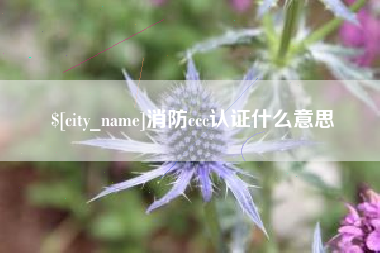 贵港消防ccc认证什么意思