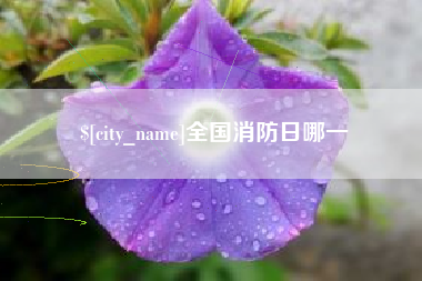 贵港全国消防日哪一
