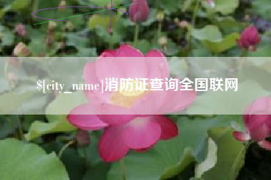 贵港消防证查询全国联网
