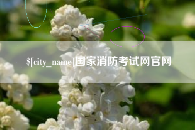 贵港国家消防考试网官网
