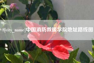 贵港中国消防救援学院地址路线图