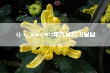 贵港2022年九宫格飞星图