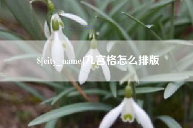 贵港九宫格怎么排版