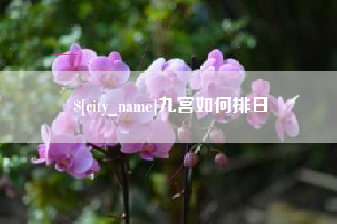 贵港九宫如何排日