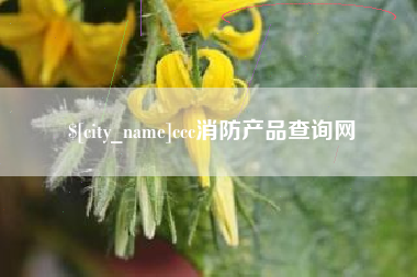贵港ccc消防产品查询网