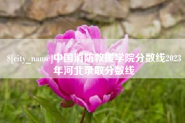 贵港中国消防救援学院分数线2023年河北录取分数线