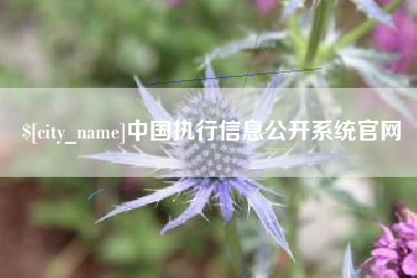 贵港中国执行信息公开系统官网