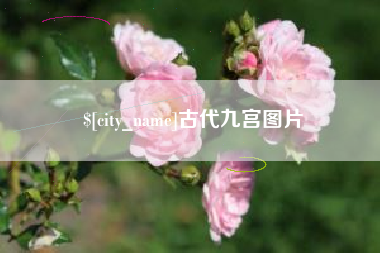 贵港古代九宫图片
