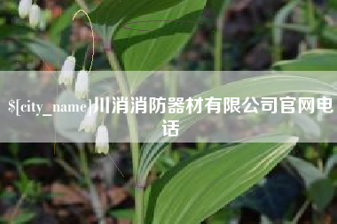 贵港川消消防器材有限公司官网电话