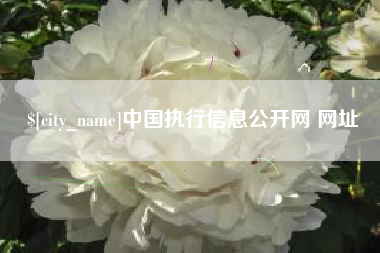 贵港中国执行信息公开网 网址