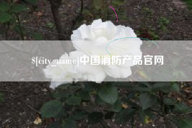 贵港中国消防产品官网