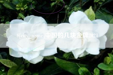 贵港中国的几块金牌2021