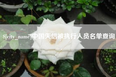 贵港中国失信被执行人员名单查询
