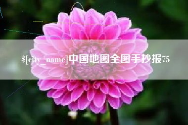 贵港中国地图全图手抄报75
