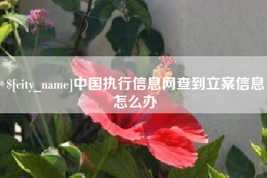 贵港中国执行信息网查到立案信息怎么办