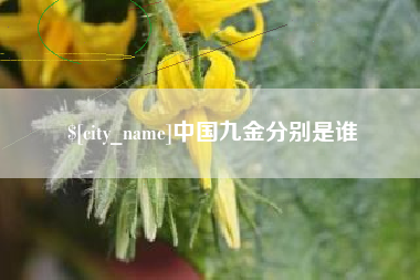 贵港中国九金分别是谁