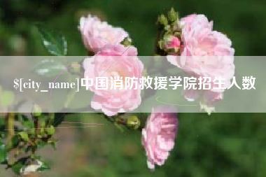 贵港中国消防救援学院招生人数