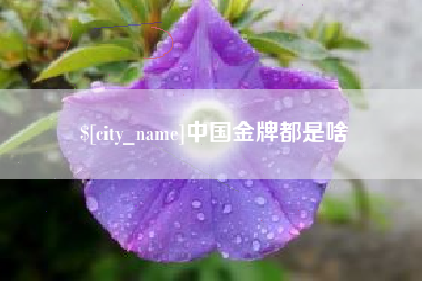 贵港中国金牌都是啥