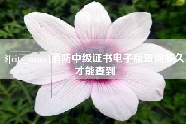 贵港消防中级证书电子版查询多久才能查到