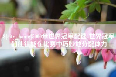 贵港5000米世界冠军配速-世界冠军们往往能在比赛中巧妙地分配体力