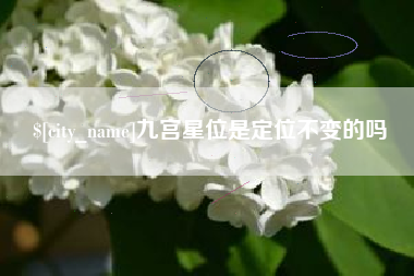 贵港九宫星位是定位不变的吗