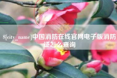 贵港中国消防在线官网电子版消防证怎么查询