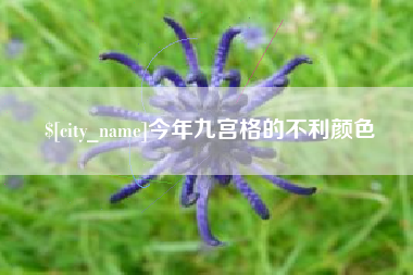 贵港今年九宫格的不利颜色